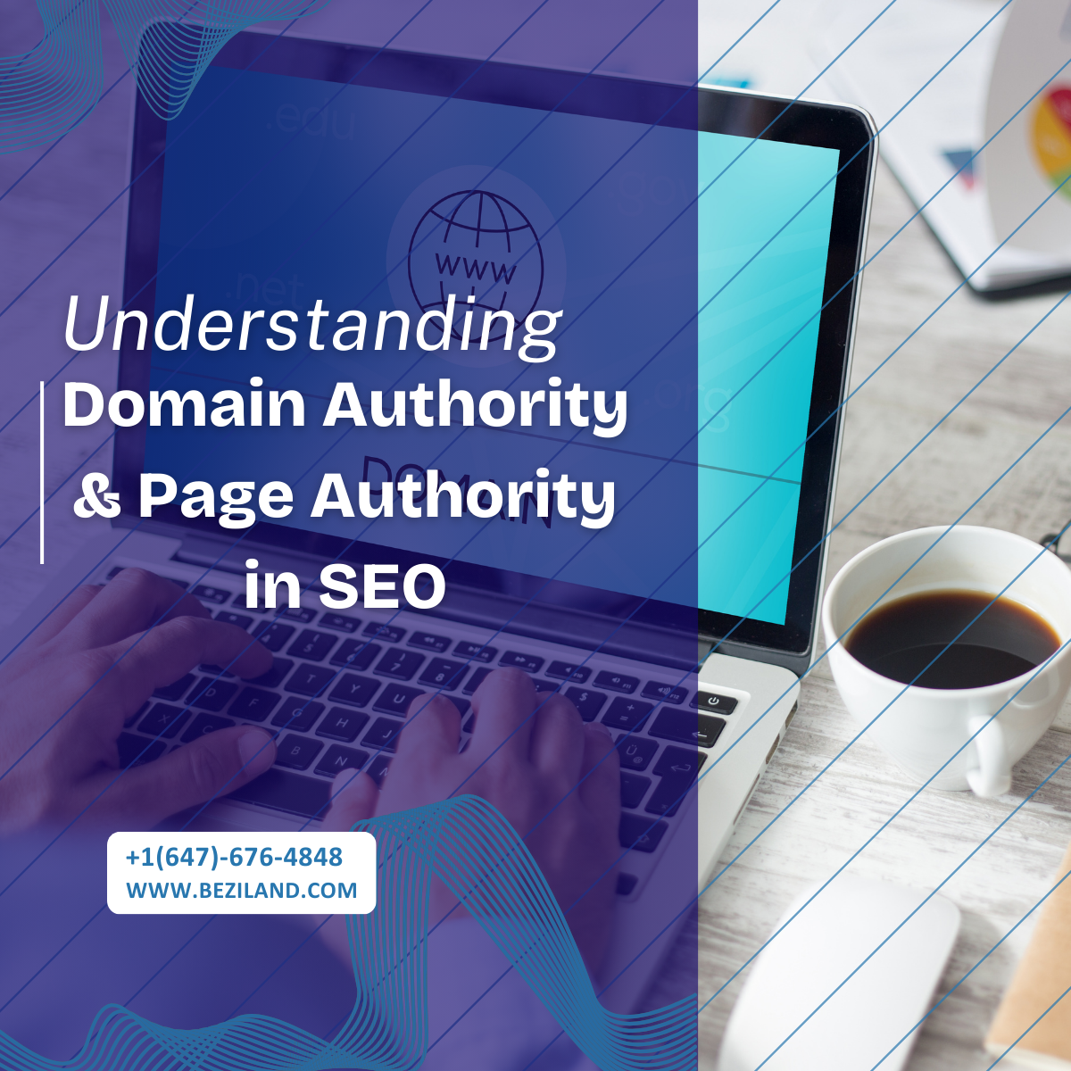 Understanding Domain Authority & Page Authority in SEO